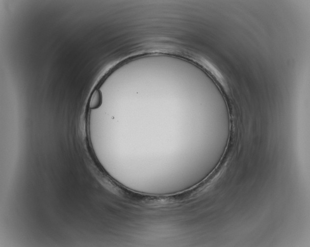 X0000111530891200907141254