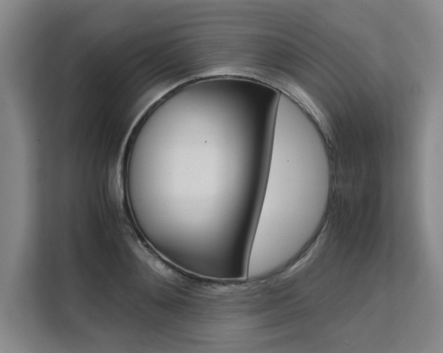 X0000111530892200907141254
