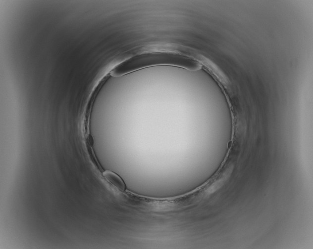 X0000111530893200907141254