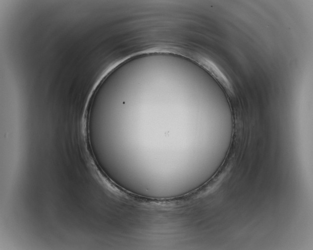 X0000111530900200907141254