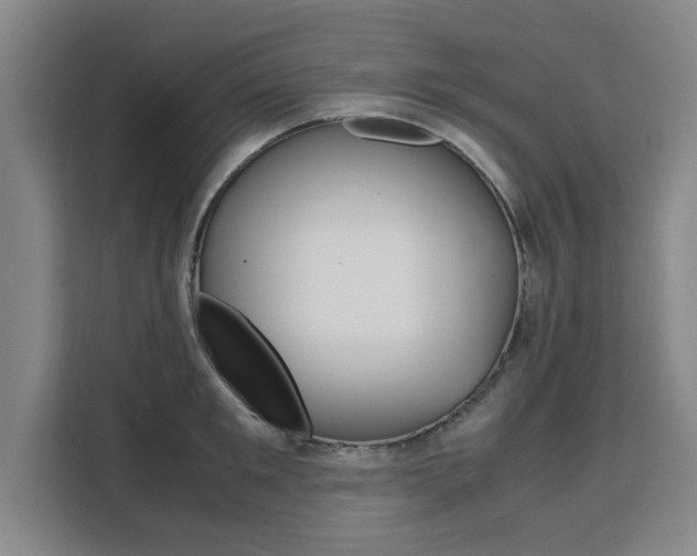 X0000111530901200907141254