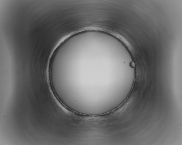 X0000111530902200907141254