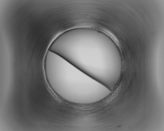 X0000111530907200907141254