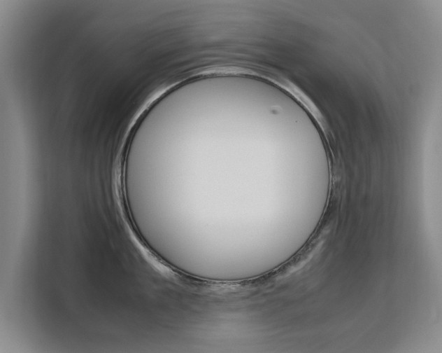 X0000111530909200907141254