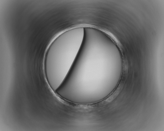X0000111530910200907141254