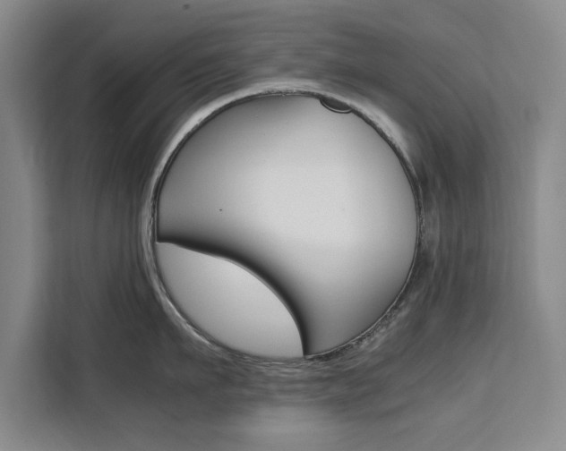 X0000111530911200907141254