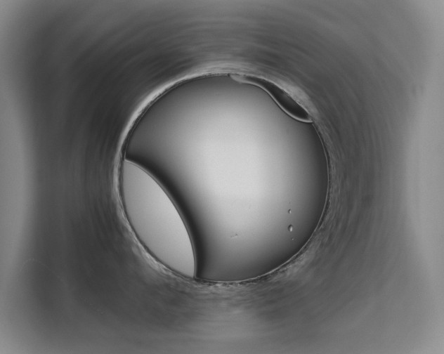 X0000111530912200907141254