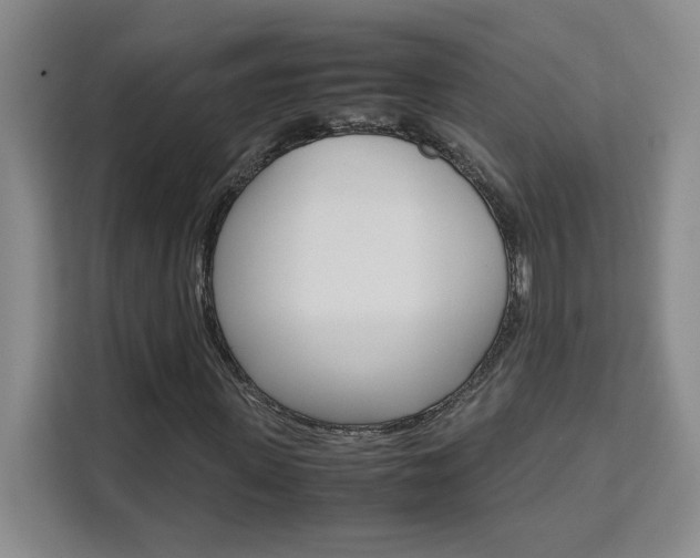 X0000111530915200907141253