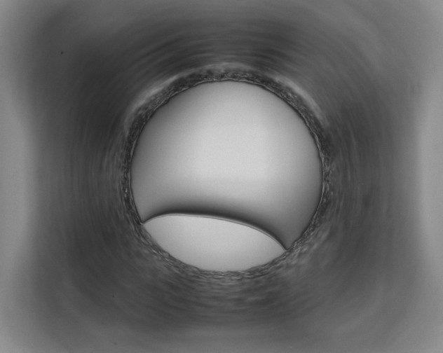 X0000111530919200907141253