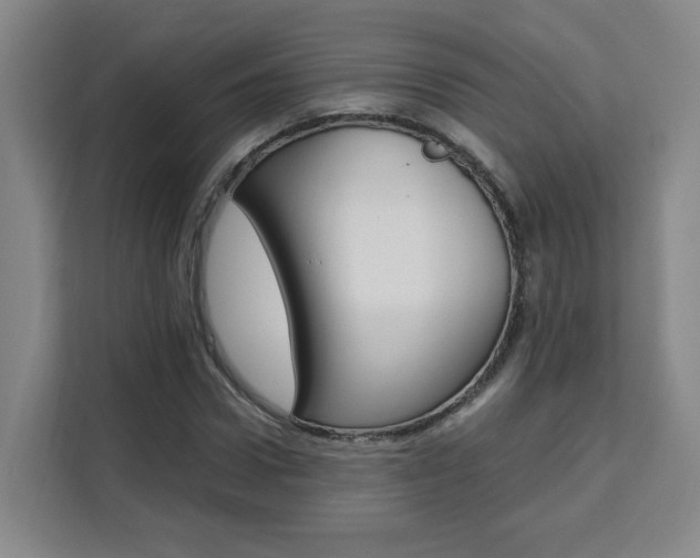 X0000111530922200907141253