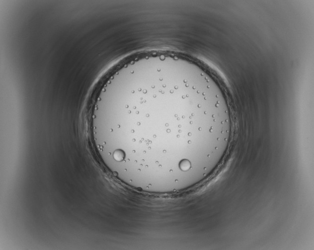 X0000111530925200907141254