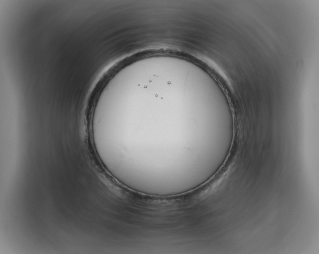 X0000111530927200907141254