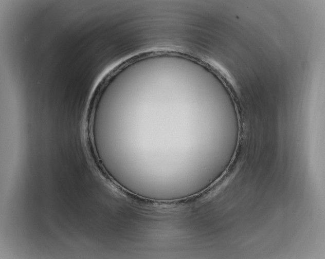 X0000111530928200907141254