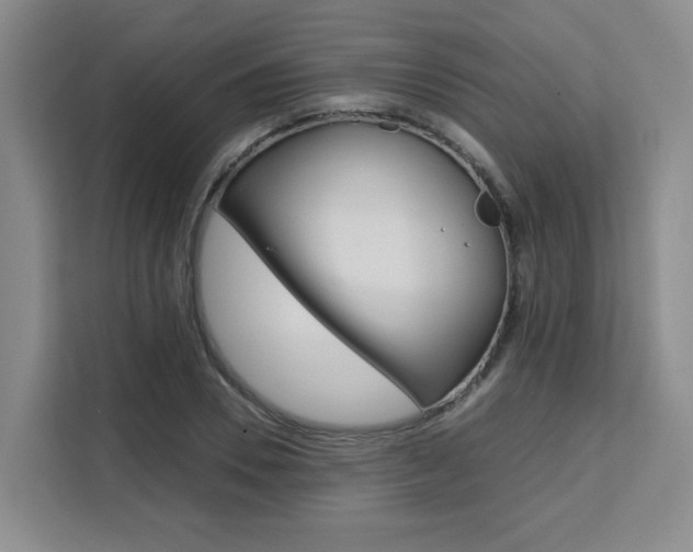 X0000111530930200907141254
