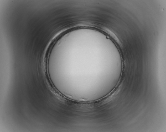 X0000111530931200907141254