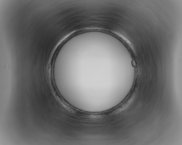 X0000111530933200907141254