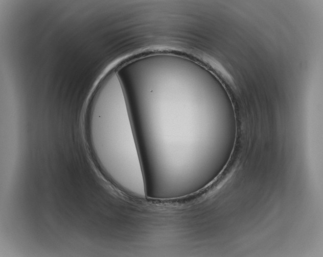 X0000111530934200907141254