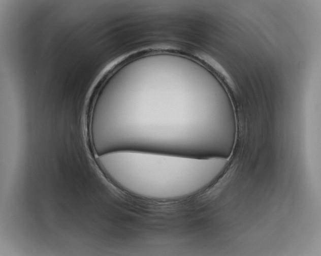 X0000111530935200907141254