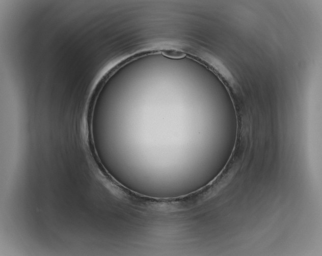 X0000111530936200907141254