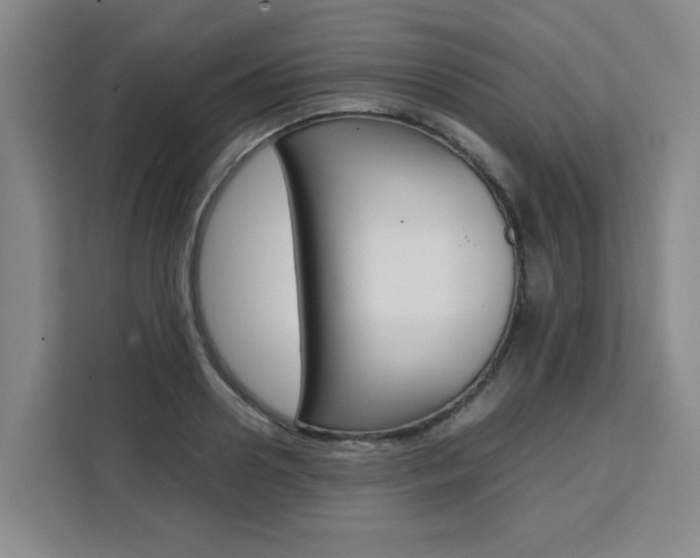 X0000111530938200907141254