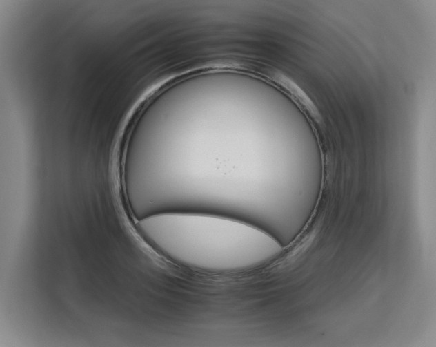 X0000111530939200907141254