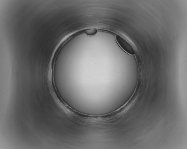 X0000111530940200907141254