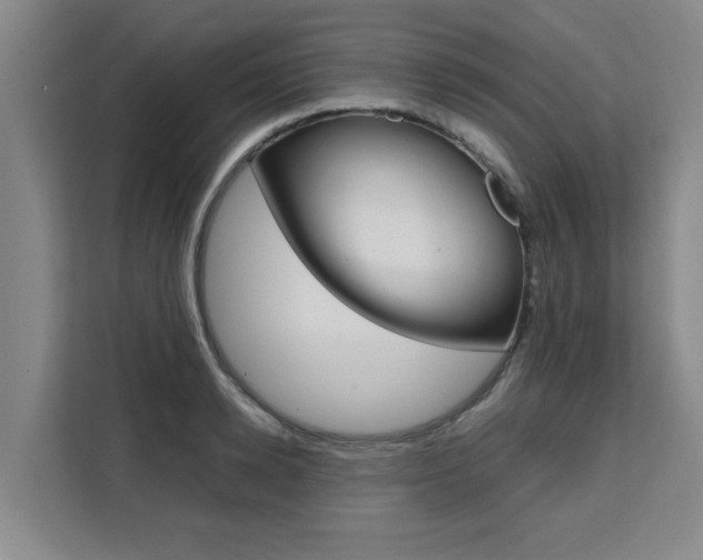 X0000111530942200907141254