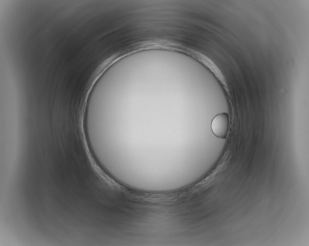 X0000111530946200907141254
