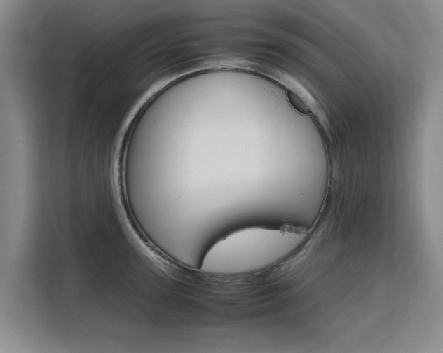 X0000111530947200907141254