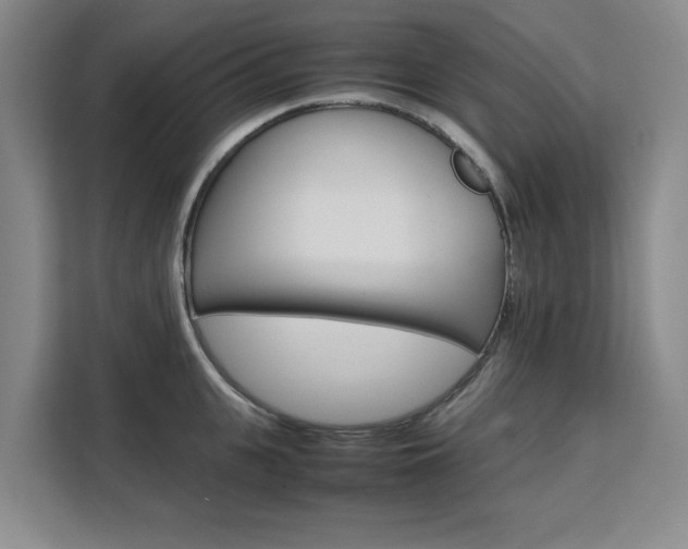 X0000111530951200907141254