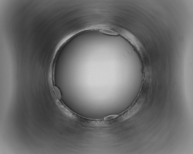 X0000111530952200907141254
