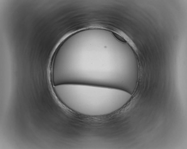 X0000111530955200907141254