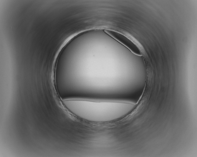 X0000111530956200907141254