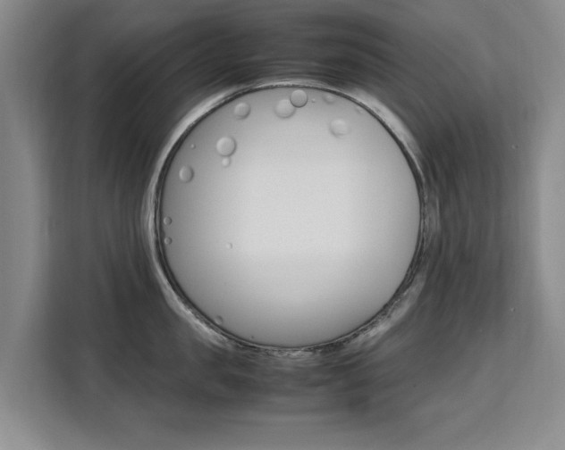 X0000111530957200907141254