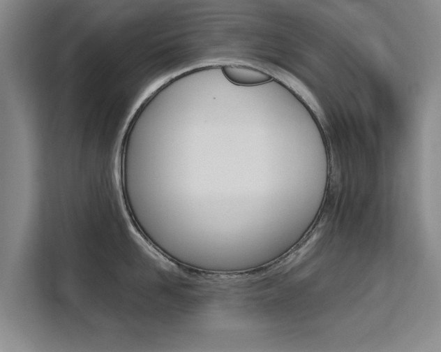 X0000111530958200907141254