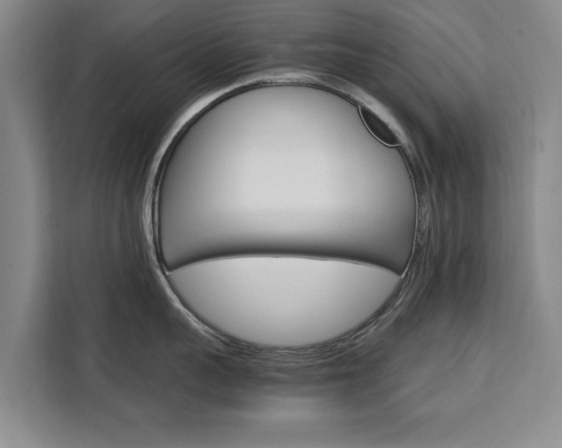 X0000111530959200907141254