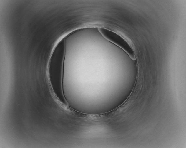 X0000111530960200907141254