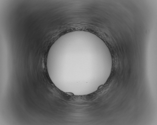 X0000111530962200907141253