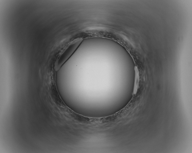 X0000111530965200907141253