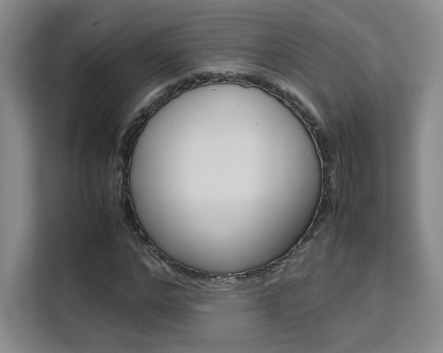 X0000111530968200907141253