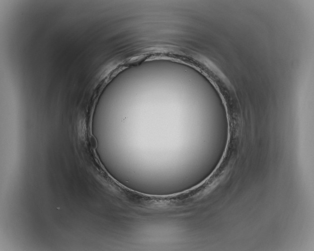 X0000111530969200907141253