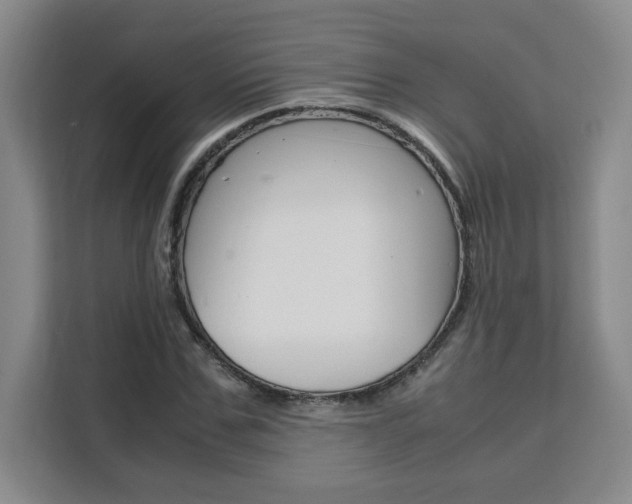 X0000111530971200907141253