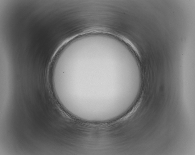 X0000111530973200907141253
