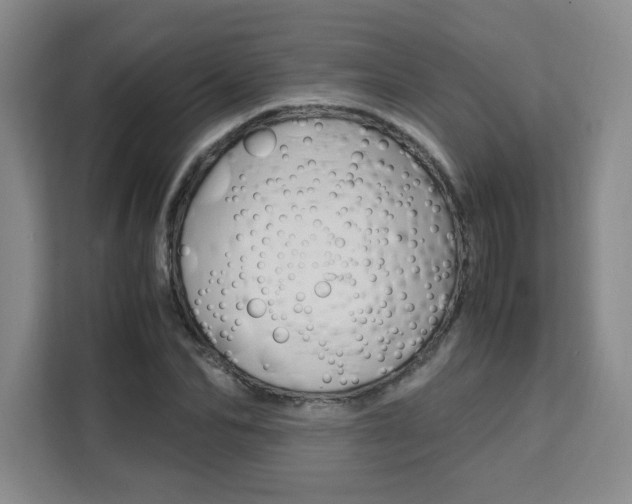 X0000111530974200907141253