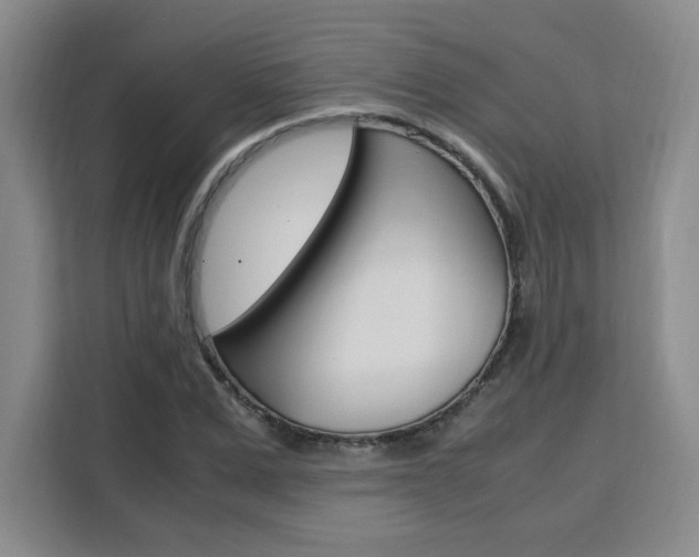 X0000111530975200907141253