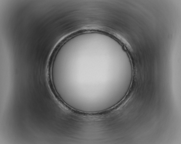 X0000111530976200907141253