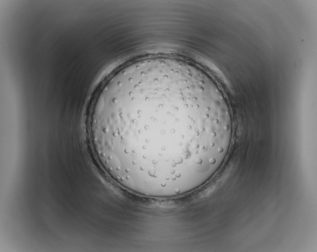 X0000111530978200907141253