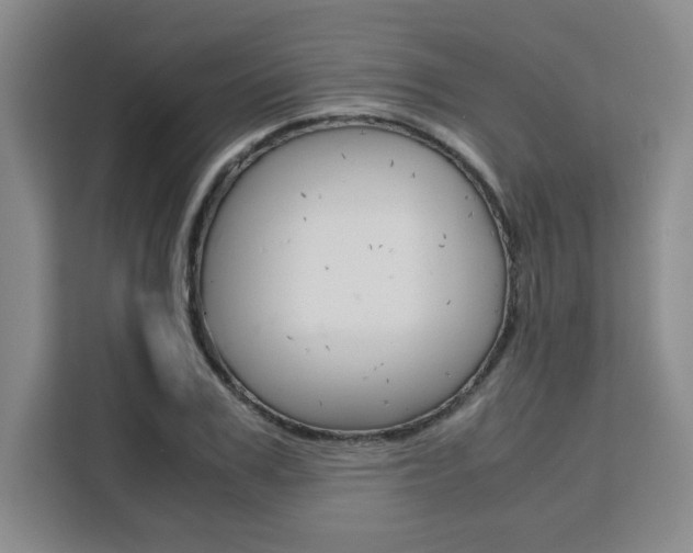 X0000111530979200907141253