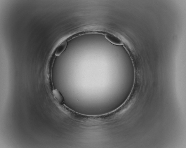 X0000111530981200907141253