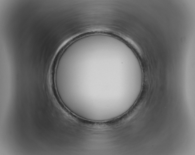 X0000111530983200907141253